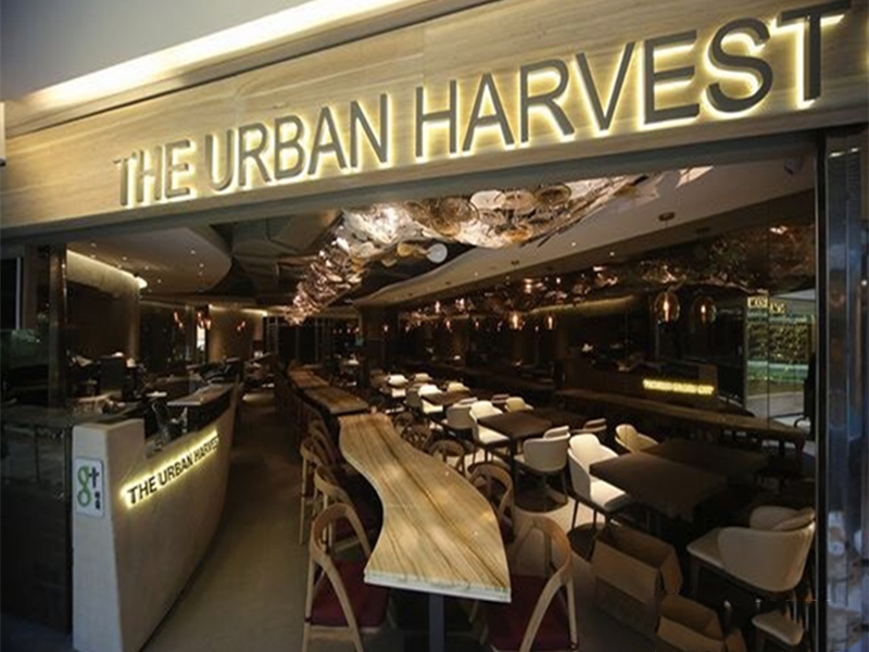 上?；春Ｖ新稫11極食餐廳